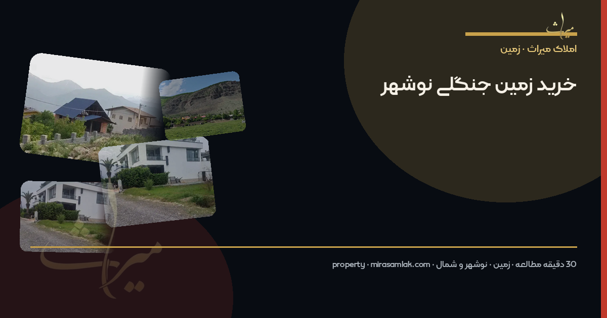 خرید زمین جنگلی نوشهر